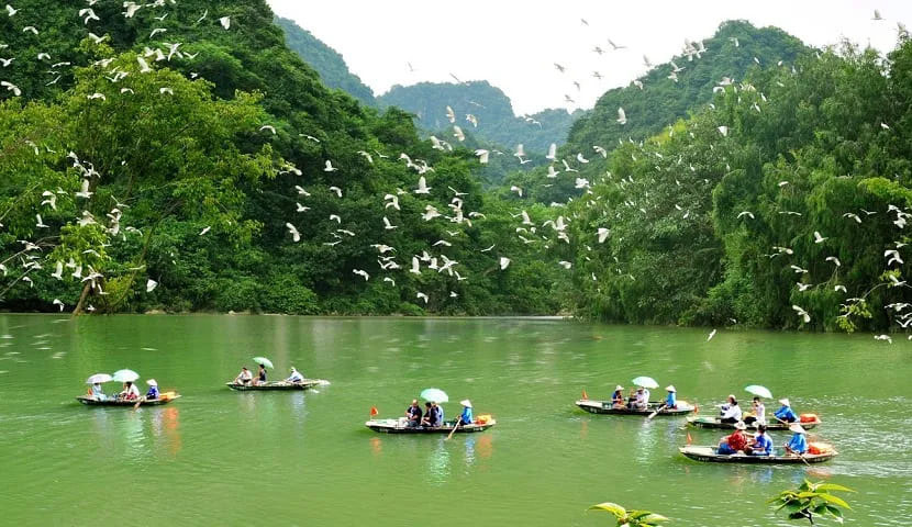 thung nham bird park vietnam